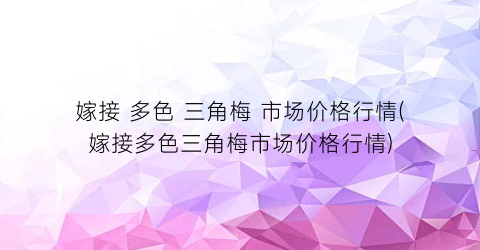 嫁接 多色 三角梅 市场价格行情(嫁接多色三角梅市场价格行情)